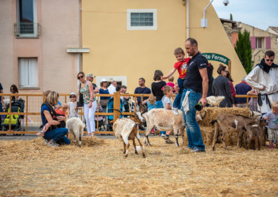 Fête du Drac 2018 - Mondragon